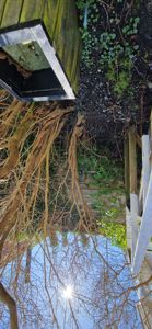 Fotografi av en uteplass eller hage med trær, planter, en trestruktur og en del av en bygning i bakgrunnen.