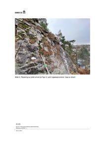 Fotografi av en steinvegg med bolter og vegetasjon, illustrerende et felt fra en bergsikring.