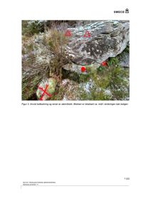 Fotografi av en steinblokk i skråningen bak en bolig, med markeringer for boltesikring og rensing.