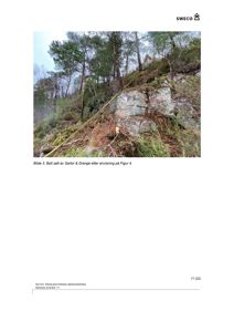 Fotografi av en bergvegg med et bunnfelt (bunnfelt) satt inn i den, omgitt av skog.