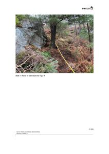 Fotografi av en steinblokk i et skogområde med en gule slange eller kabel på bakken.