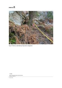 Fotografi av en steinblokk i terrenget med en gule slange og et rødt kryssmerke, med tekstbeskrivelse under.