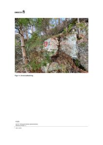 Fotografi av en steinvegg med boltesikring i en skogsmiljø.