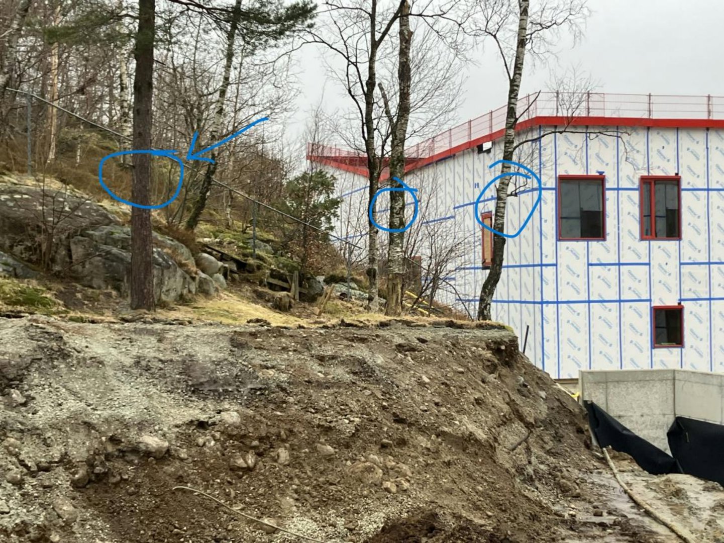 Fotografi av en bygning under oppføring med hvit isolasjon og røde vindusrammer, sett fra et terreng med trær og stein.