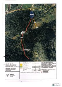 Gårdsplan med bakgrunnskart, arealoppdeling og markslag for eiendommen 4646-125/2/0