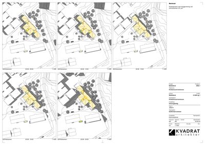 Situasjonsplaner som viser bygningens plassering i forhold til terrenget (konturlinjer) og nabolaget, med angivelse av solforhold ved ulike tidspunkter.