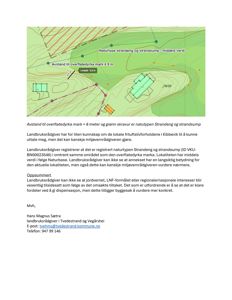En situasjonsplan som viser et område med topografi (konturlinjer), vegetasjon (grønn skravur for strandeng/strandsump), og plassering av to bygninger (grønne rektangler).