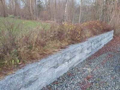 Fotografi av en steinmur i et naturområde