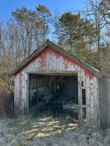 Fotografi av en gammel, rød og hvit skur eller uthus i en skog.