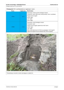 Fotografi av en prøvegravning (prøvegrop) i jorda, tatt under en miljøgeologisk grunundersøkelse.