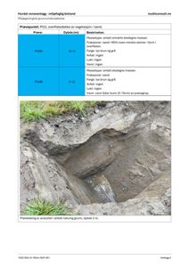 Fotografi av et prøvegrupp (grøp) tatt i forbindelse med en miljøgeologisk grunnundersøkelse. Bildet viser jordmasser og vann i bunnen.