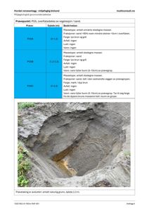 Fotografi av en prøvegravning (prøvegrop) i jorda, som viser lag av masse og vann i bunnen.