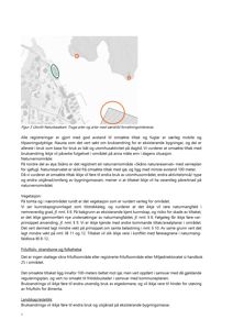 Et situasjonskart eller kartutsnitt som viser et område med bygningsmasser, vegetasjon og et naturreservat (Skåno naturreservat). Kartet er merket med sirkler og har en overskrift om 'Utsnitt Naturbasekart'.