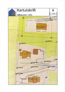 Situasjonsplan med kartutskrift, målestokk 1:500, som viser tomtens form, høydemålinger (konturlinjer), nabobebyggelse (Trøavgen 78, 68) og vegforhold.