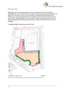 Situasjonsplan (utomhusplan) som viser planlagt tiltak på en tomt, inkludert terrengendringer, vegetasjonsskjerm og bebyggelse.