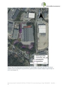 Flyfoto av et område med overlagte kartdata som viser bevaringsområder, fremmede arter og parkslirekne.