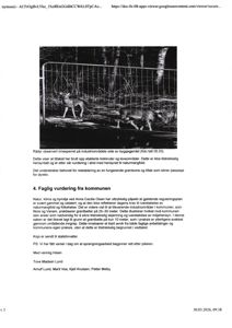 Et svart-hvitt fotografi som viser rådyr inne i en hekket inngangsparti ved siden av en bygning.