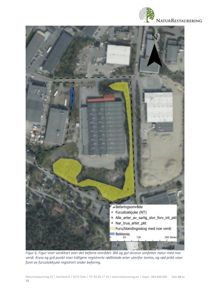 Verdikart over et befaret område med overlagte arealer (skravur) og punkter som viser funn av rødlistede arter. Bildet er basert på et flyfoto.