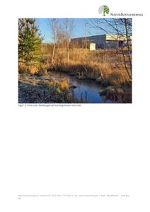 Fotografi av bekkesiget på tomtgrensen mot vest.