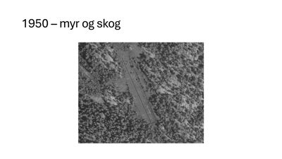 Et gammelt flyfoto fra 1950 som viser et område med myr og skog, inkludert en vei eller jernbanespor.