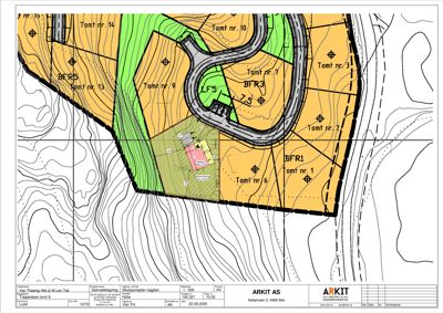Situasjonsplan som viser tomtsgrenser, topografi (konturlinjer), veier og plassering av bygninger på en tomt.