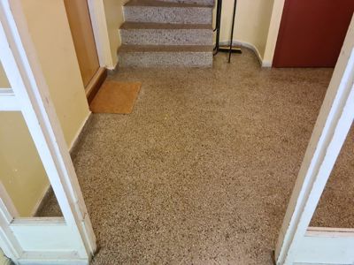 Fotografi av en trapp og et gulv med teppe i en bygning.