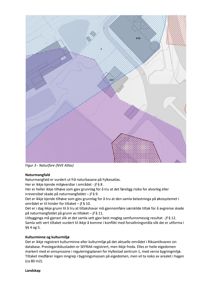 Et kart eller oversiktsbilde som viser et område med overlappende soner (f.eks. naturmangfald, regulering), sannsynligvis fra en rapport eller kartleggingsverktøy.