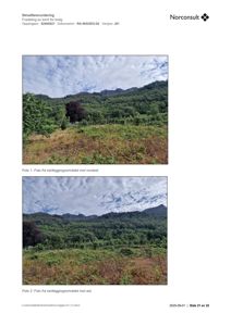 Dokumentet inneholder to fotonummeret som 'Foto 1' og 'Foto 2'. Bildene viser et terreng med vegetasjon og fjell i bakgrunnen, og er beskrevet som 'kartleggingsområdet'.