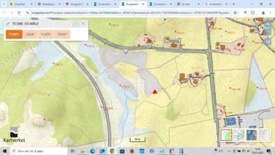 Kartutsnitt fra Kartverket (Norgeskart) som viser topografi, vegnett, eiendomsinndeling og et markert punkt (rød trekant) på en tomt.