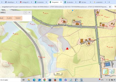 Kart fra Norgeskart som viser et topografisk kart med høydekurver, vegger, eiendomsgrenser og en markør (rød trekant) som indikerer en spesifikk tomt eller byggeplass.