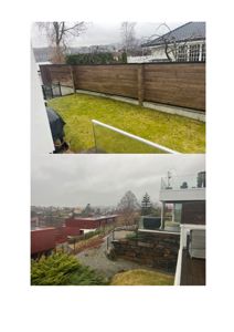 Fotografi av en tomt med en ny oppført hekk, gressbeite og en steinmur. Bildet viser også nabolaget og en del av en tilstøtende bygning.