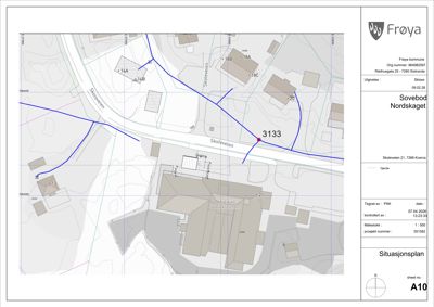 Situasjonsplan som viser tomt, veier (Skoleveien), naboeiendommer og bygningers plassering i forhold til hverandre.