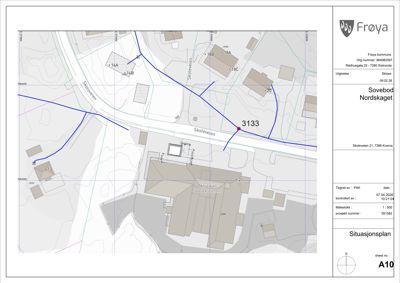 Situasjonsplan som viser tomt, veier (Skoleveien), naboeiendommer og bygningers plassering.