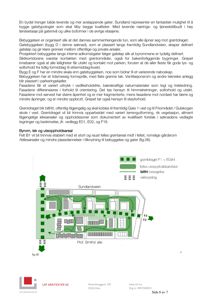 Situasjonsplan som viser bebyggelsesstruktur, gater, grønntråder og bygningsplassering i et område.