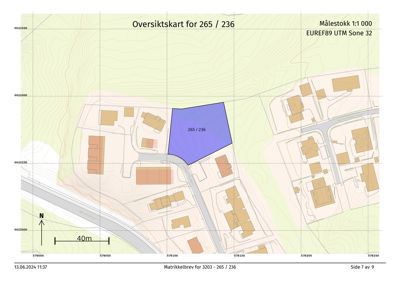 Oversiktskart med topografi, eiendomsgrenser og naboeiendommer