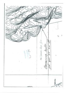 Situasjonsplan som viser terrengform (konturlinjer), vegnavn (Kaivdalen, Storgata) og en markert plassering for en hytte.