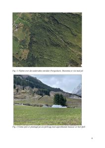 Bildet viser to bilder på en side. Øverst er et flyfoto (Norgeskart) som viser et stort område med en pil som peker på en tomt. Nederst er et fotografi som viser selve tomta (pekt med pil) i landskapet, med fjellrygg og knausar i bakgrunnen.