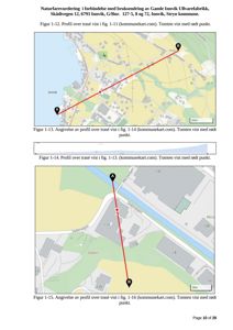 Kart som viser situasjon og profil over en trasé (rød linje) i Innvik, med bygningsplasseringer og veier.