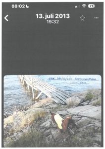 Et fotografi av en utendørs scene med en brakk brygge, vann og en hund.