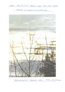 Et fotografi av en person som hopper i vannet fra en brygge, med tekst som beskriver bildet som 'Hjemmelshaver Isbader April 1973, på Brygga'.