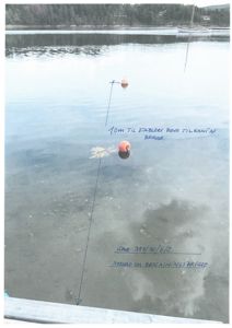 Fotografi av et bryggeområde med vann, båter og buoys, med håndskrevne notater om målinger og bryggeerstatning.