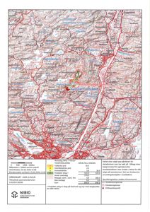 Et kart over et område i Ringerike kommune, som viser topografi, vegnett, bebyggelse og eiendomsgranser.