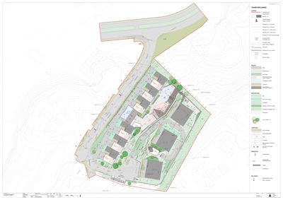 Situasjonsplan som viser tomtens form, omgivende terreng (konturlinjer), plassering av bygninger, veier og vegetasjon.