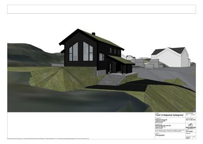3D-visualisering (rendering) av en hytte i et skrått terreng, med omgivende hus og topografi.