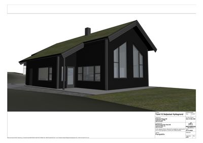 3D-visualisering (perspektiv) av en planlagt hytte med svart fasade og grønt tak.