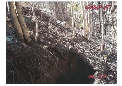 Fotografi av et skråningsterrang med trær og røtter.