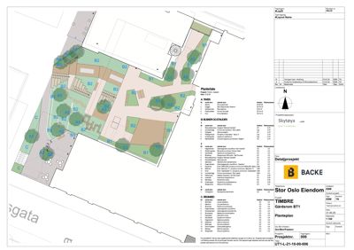Situasjonsplan (Plantegning) som viser tomtens oppdeling, beplantning og bygninger.