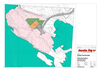 Situasjonsplan som viser tomtens topografi (konturlinjer), vannmasser, eksisterende og planlagt bebyggelse samt vegforhold.