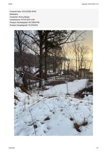 Fotografi av et snødekt terreng med trær, en gate og en hekk i bakgrunnen.