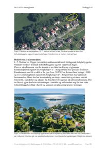 Bildet viser to fotografier fra en byggesak. Øverst er et skråfoto av bebyggelsen i området, og nederst er et foto av eiendommen sett fra sørsiden med utsikt over Oslofjorden.